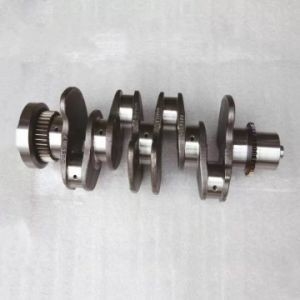 Nachverkaufsservice 12200-06J02 Kurbelwelle für Nissan Td42 Motor